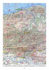403-PEKINOIS VERT - MICHEL BUAILLON (15)